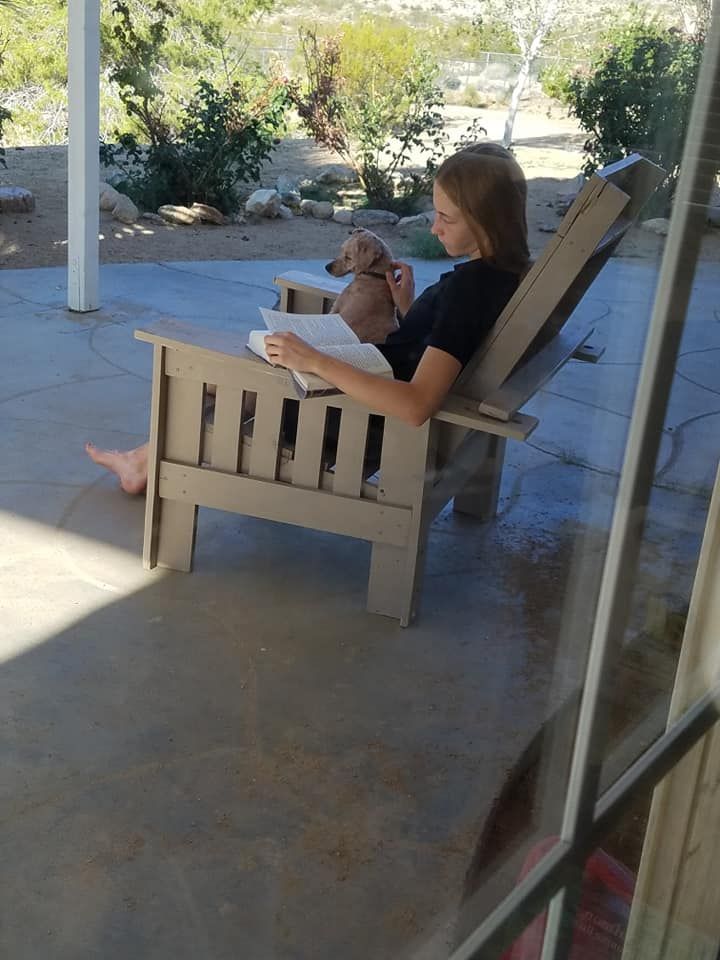 JT pet resort visitors