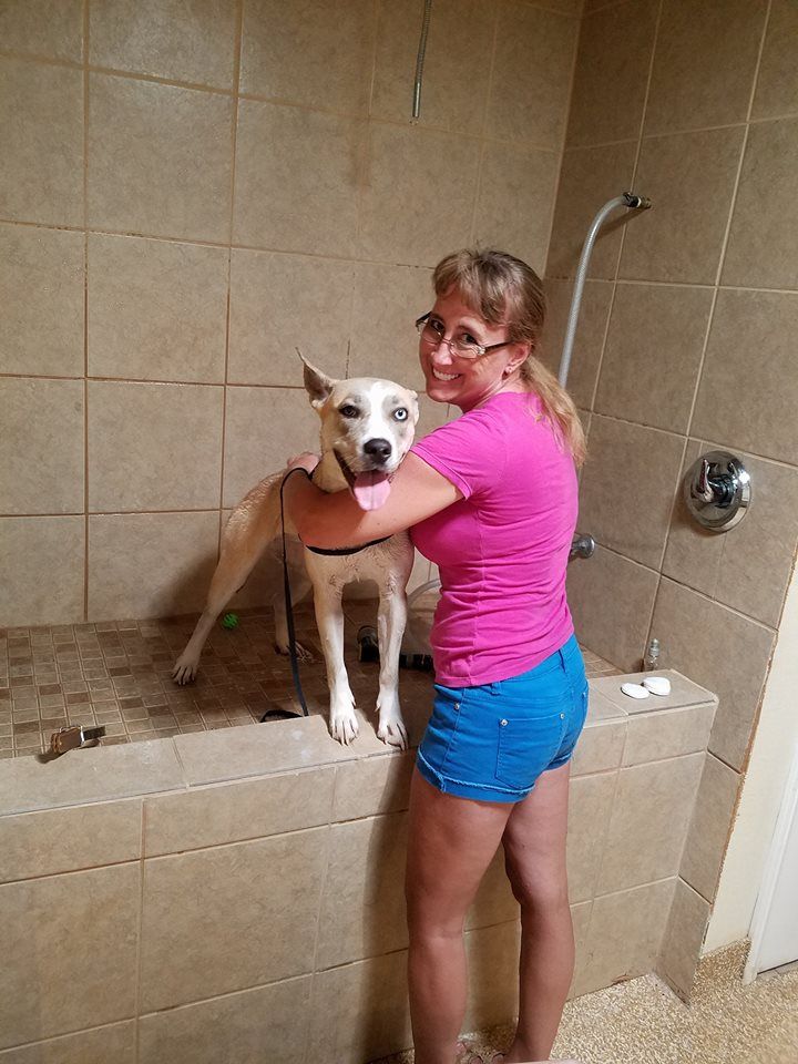A woman is standing next to a dog in a bathtub.