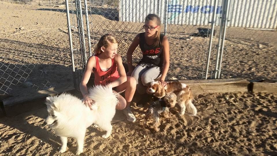 Two girls petting two dogs in a sandy area