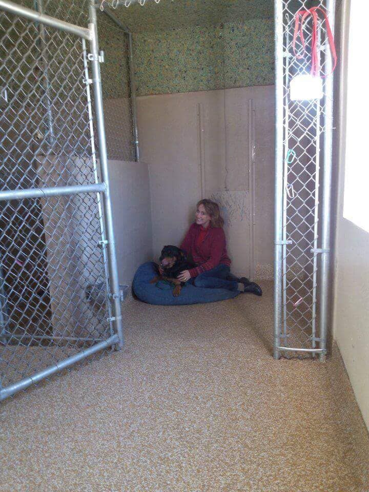 A woman is sitting on the floor with a dog in a kennel.