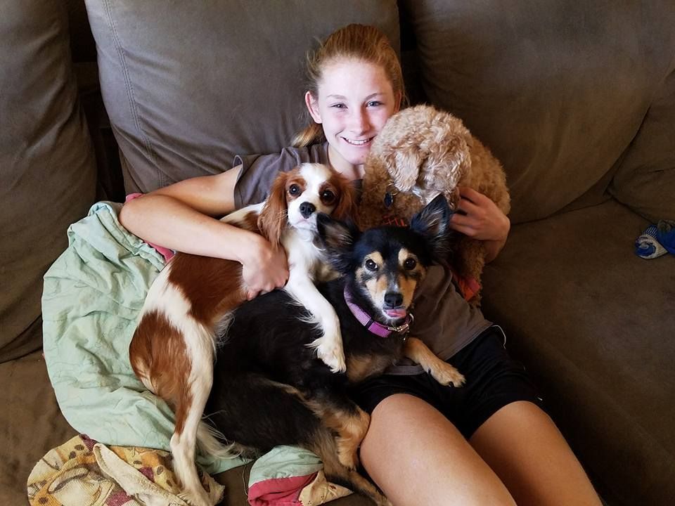 A woman is laying on a couch with three dogs
