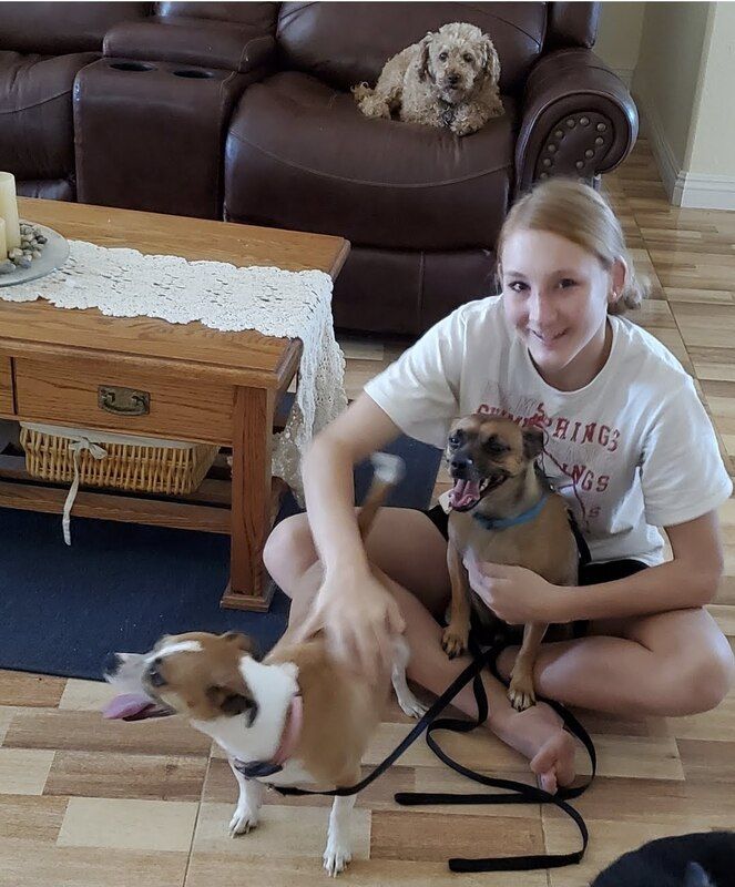 JT pet resort visitors