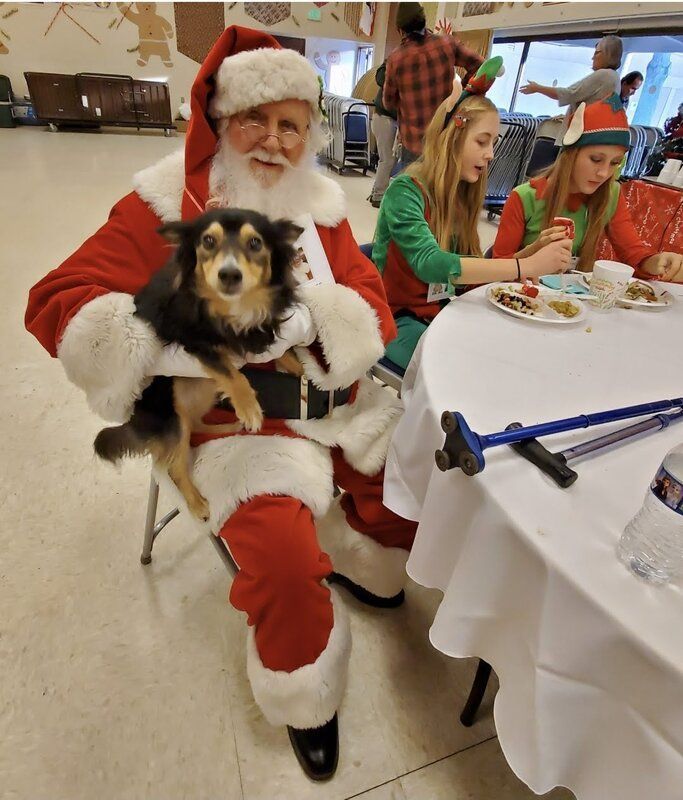 JT pet resort visitors