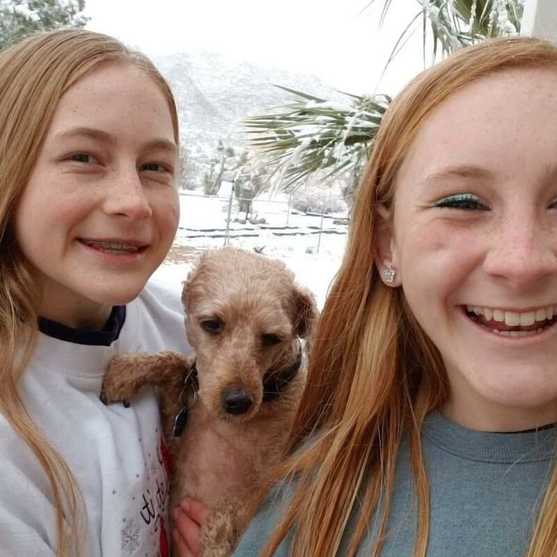 Two girls are holding a small dog and smiling for the camera