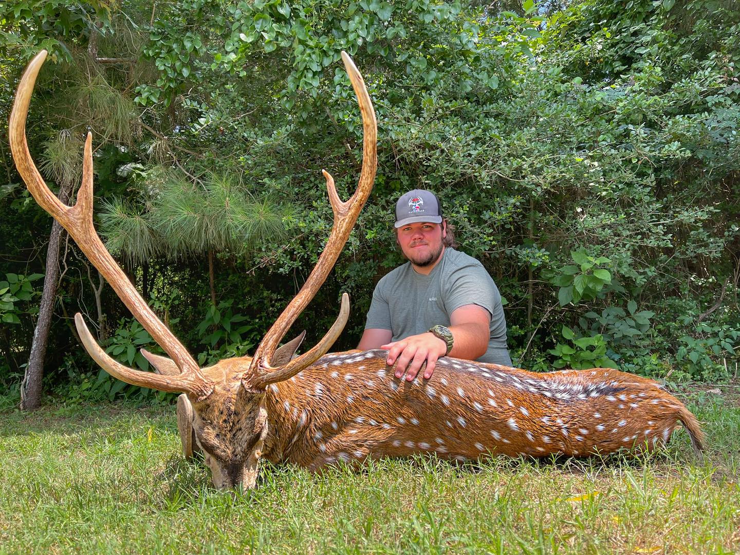 Ace Taxidermy | Huntsville Texas