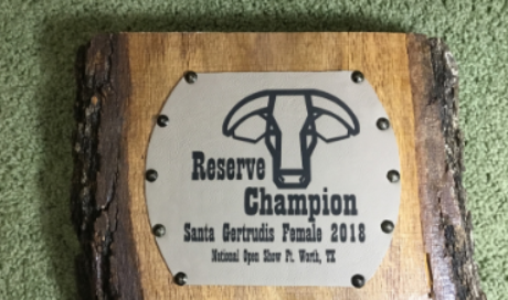 custom award