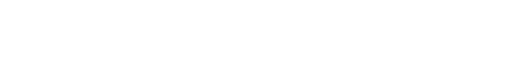 OpenVPN Connected Logo 