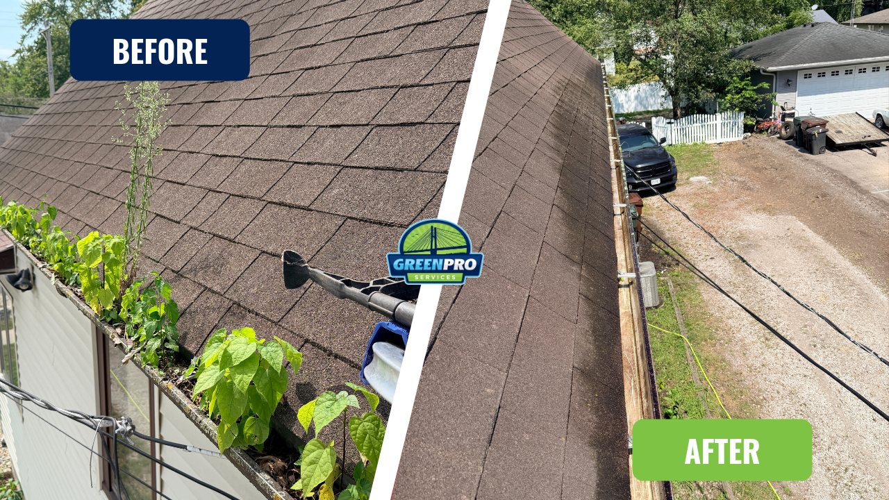Gutter cleaning before and after in Clifton IL by Green Pro Services