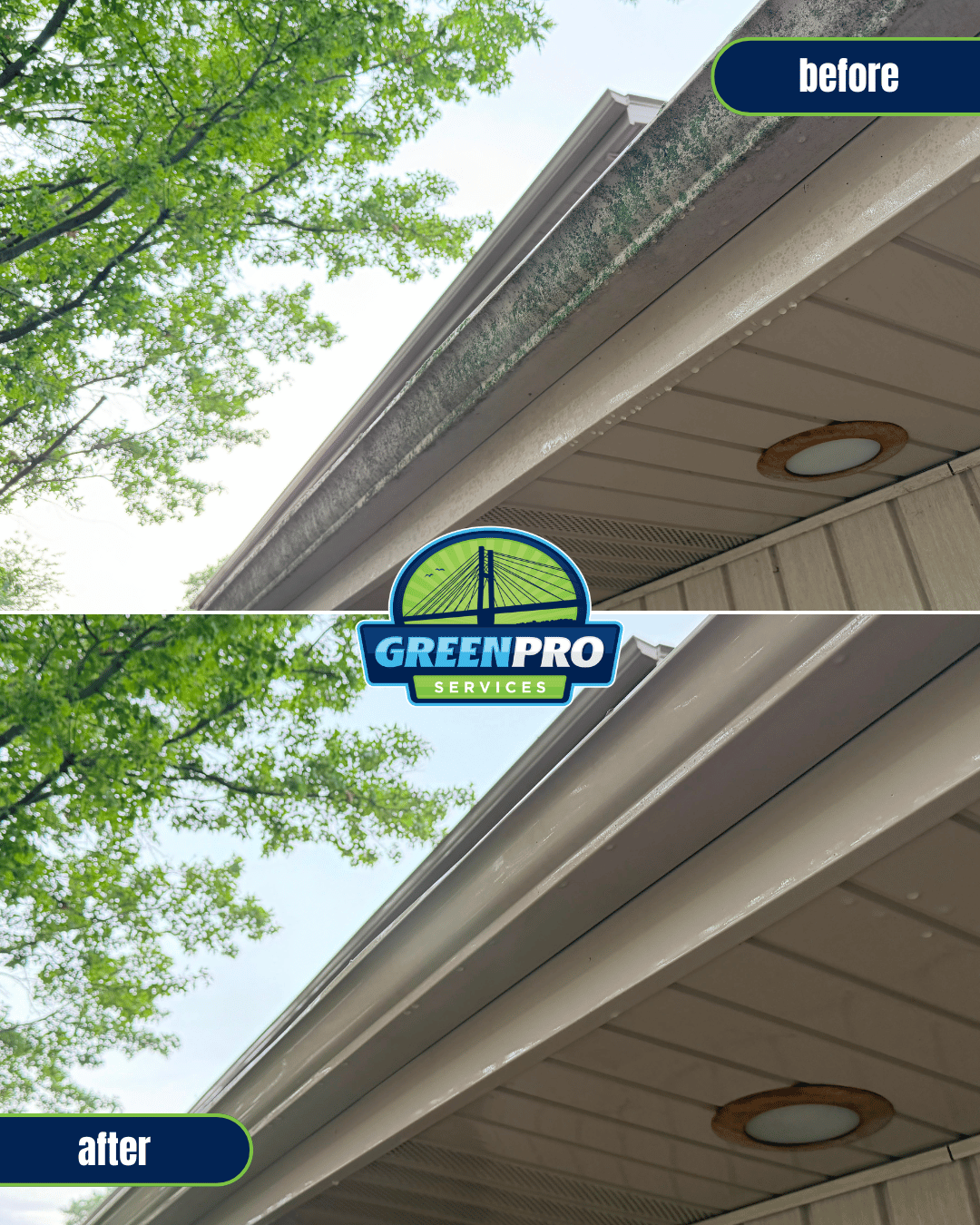 Before and after pressure washing gutters with thick algae in Frankfort, Illinois