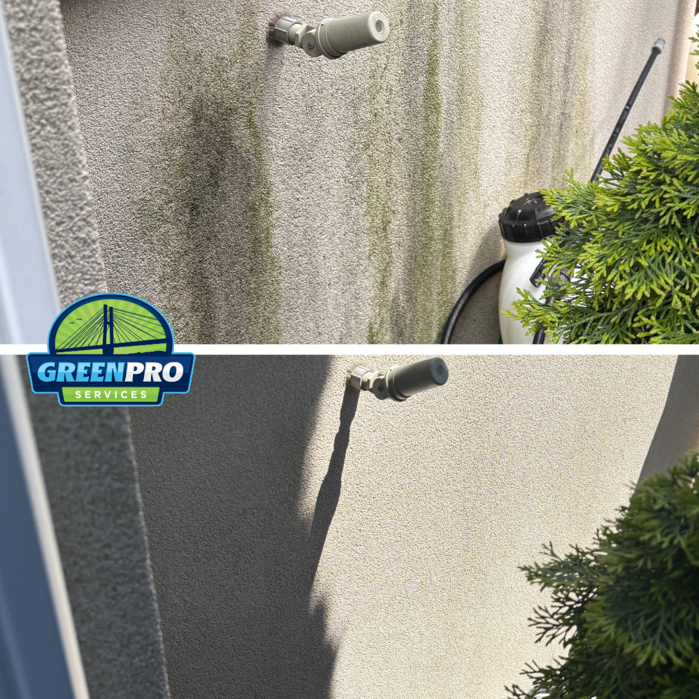 Before and after stucco soft washing in Bourbonnais Illinois by Green Pro Services