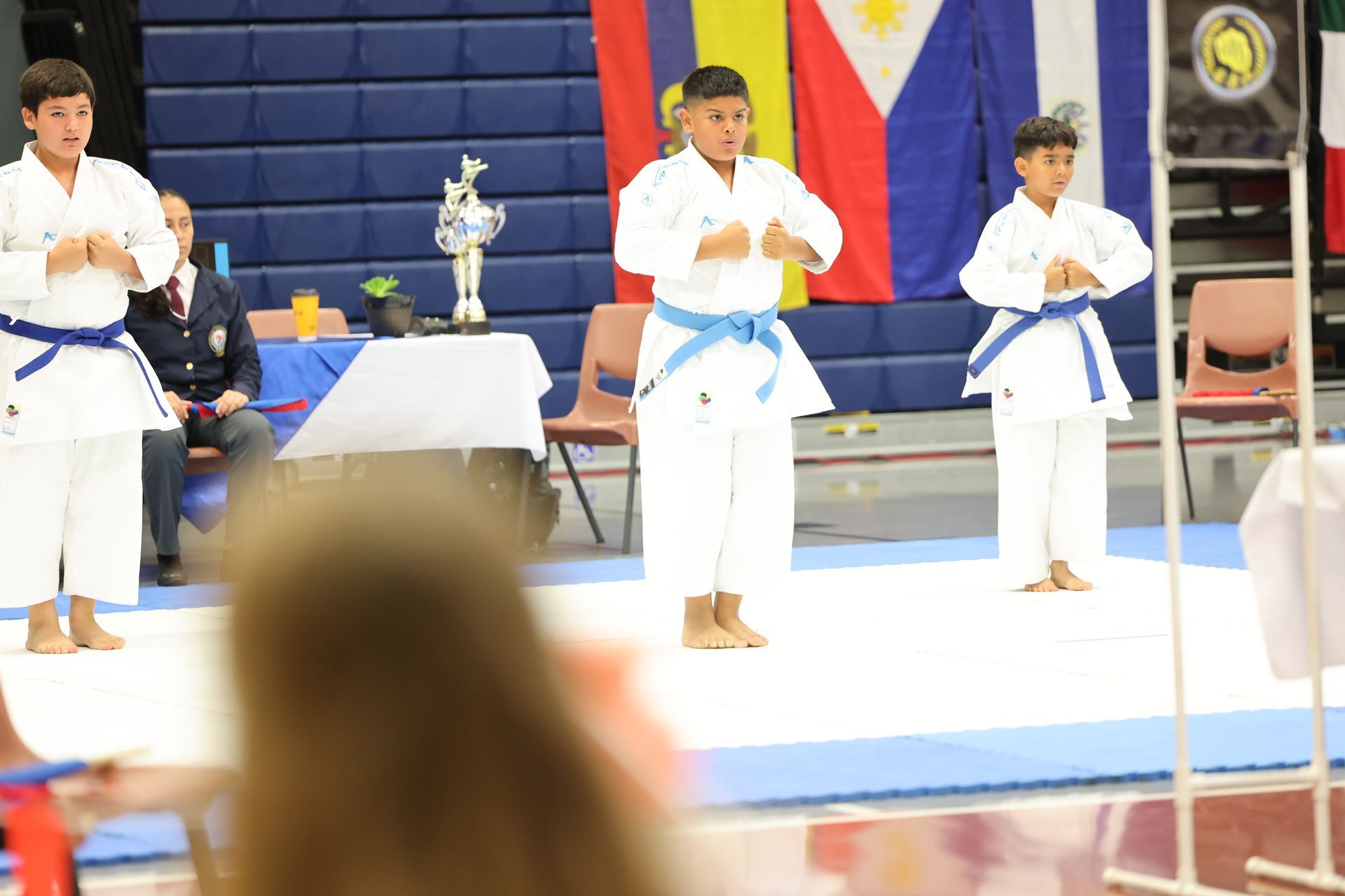 Three young karate practitioners in white uniforms, blue belts, performing a kata on a mat.