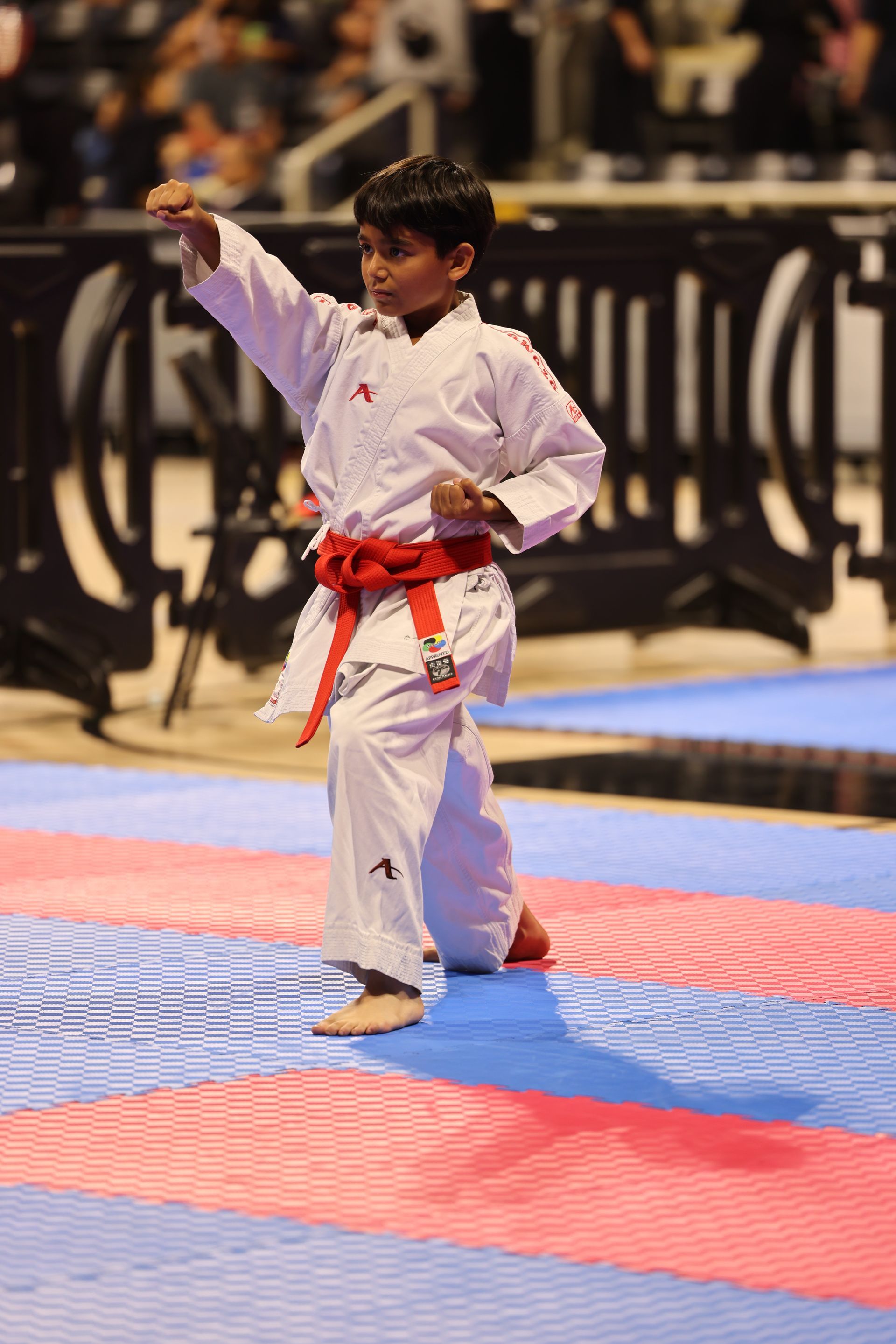 Young martial artist in white uniform with red belt performing a karate pose on a competition mat.