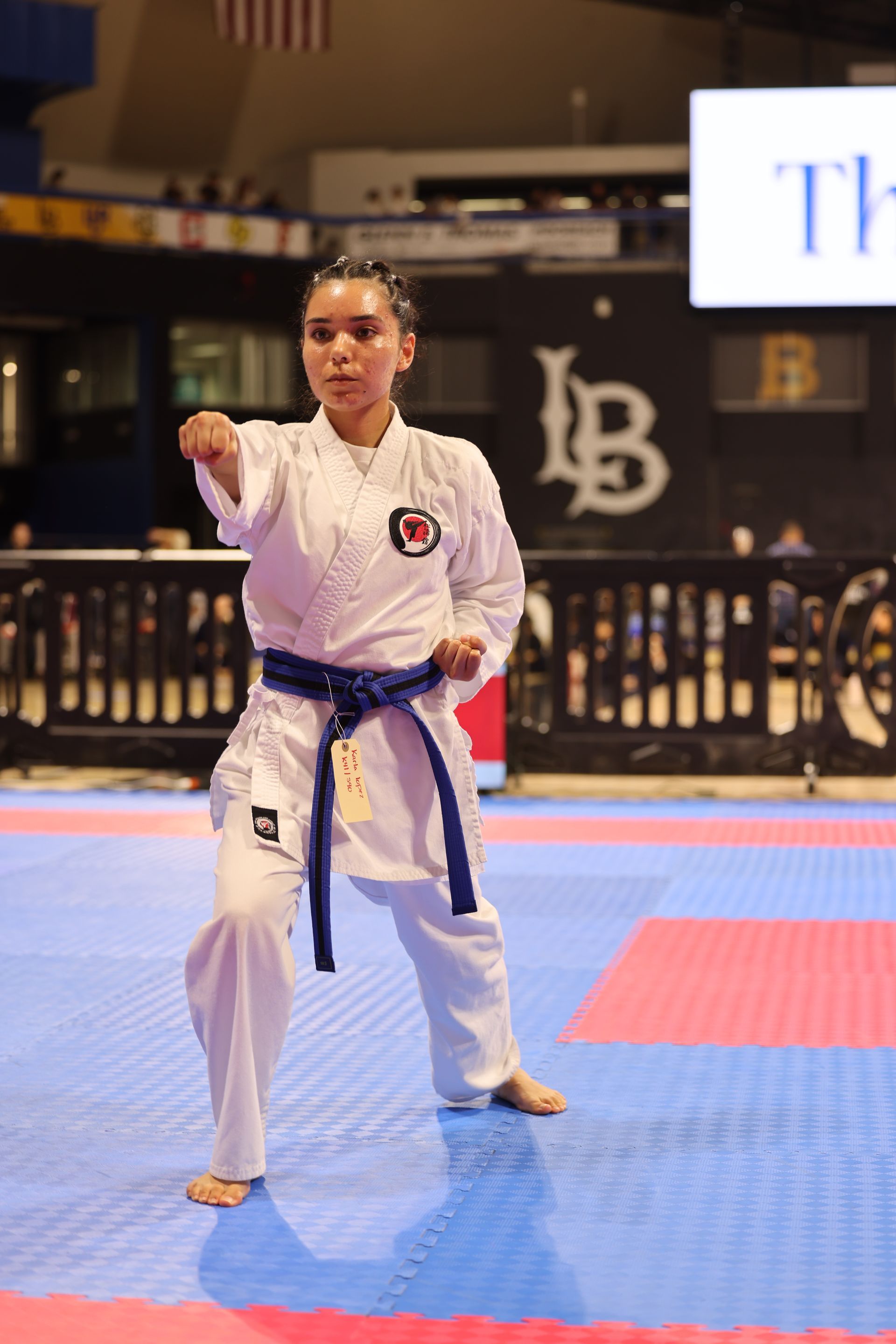 Martial artist in white gi with blue belt performing a stance on blue-and-red mats indoors