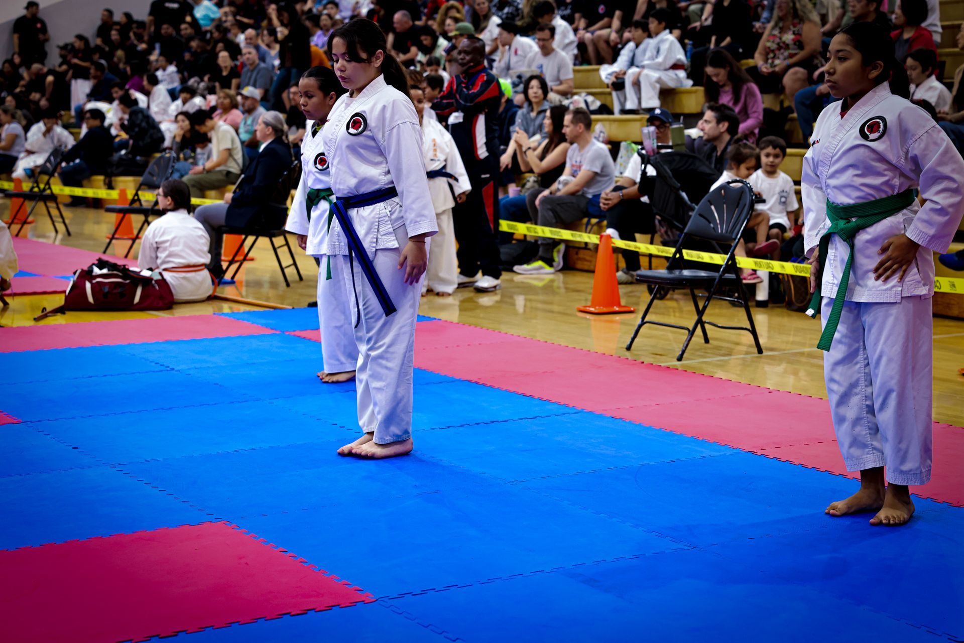 Three martial artists in white uniforms with colored belts stand in a row on a blue and red mat at an indoor competition.