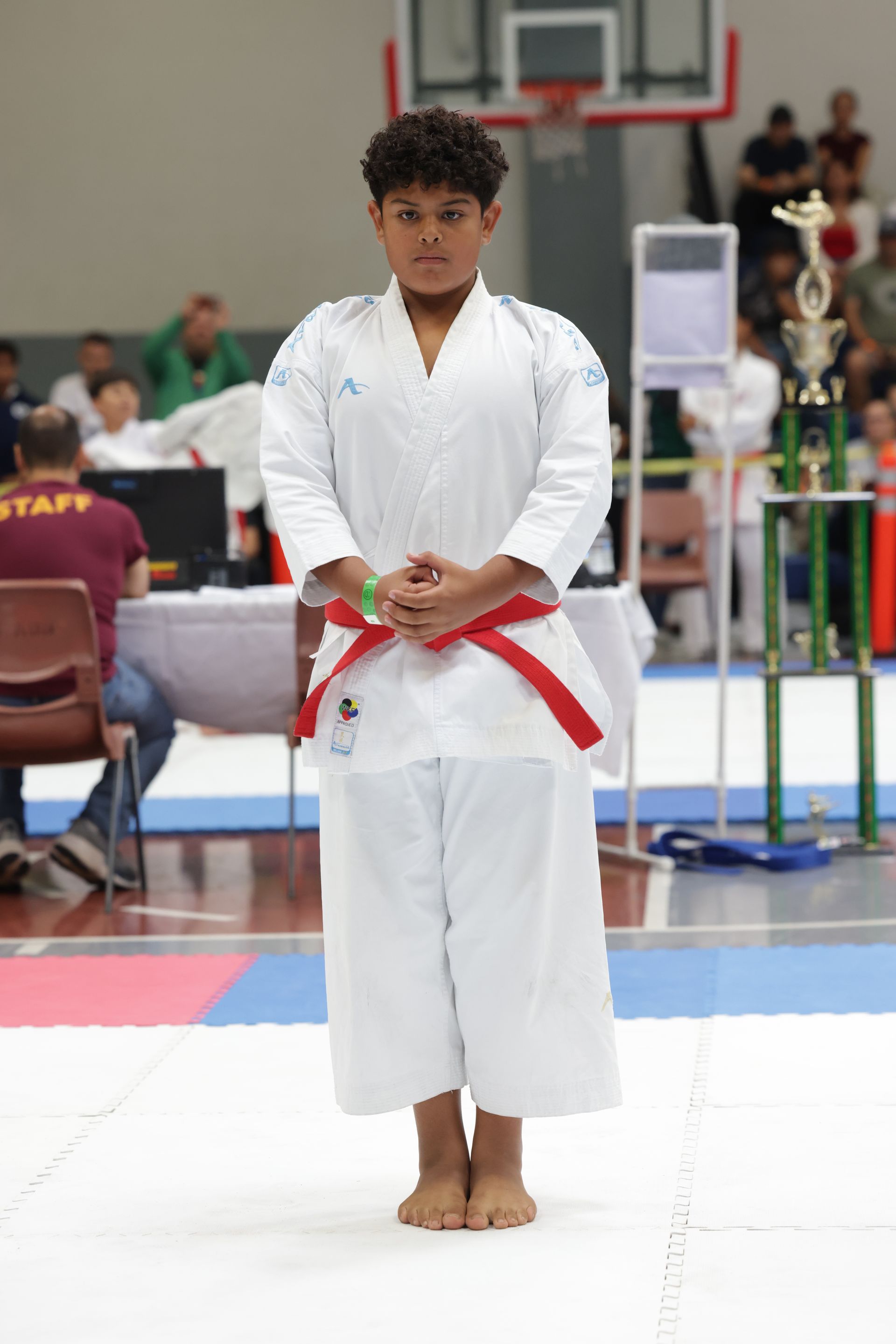 Martial artist in white gi with red belt stands on a competition mat, hands clasped in front.