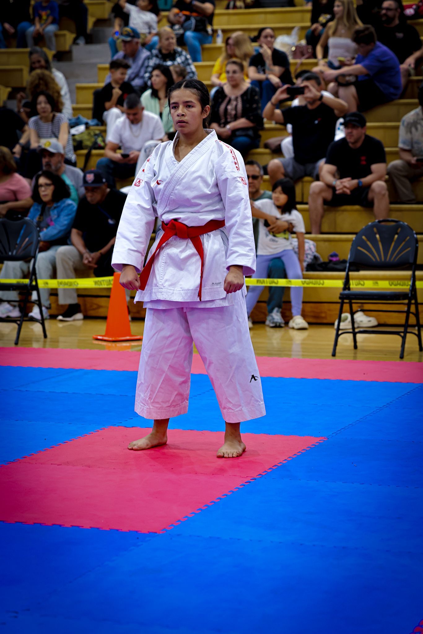 A karate practitioner in a white gi with a red belt stands on a red and blue matted floor in front of a stadium crowd.