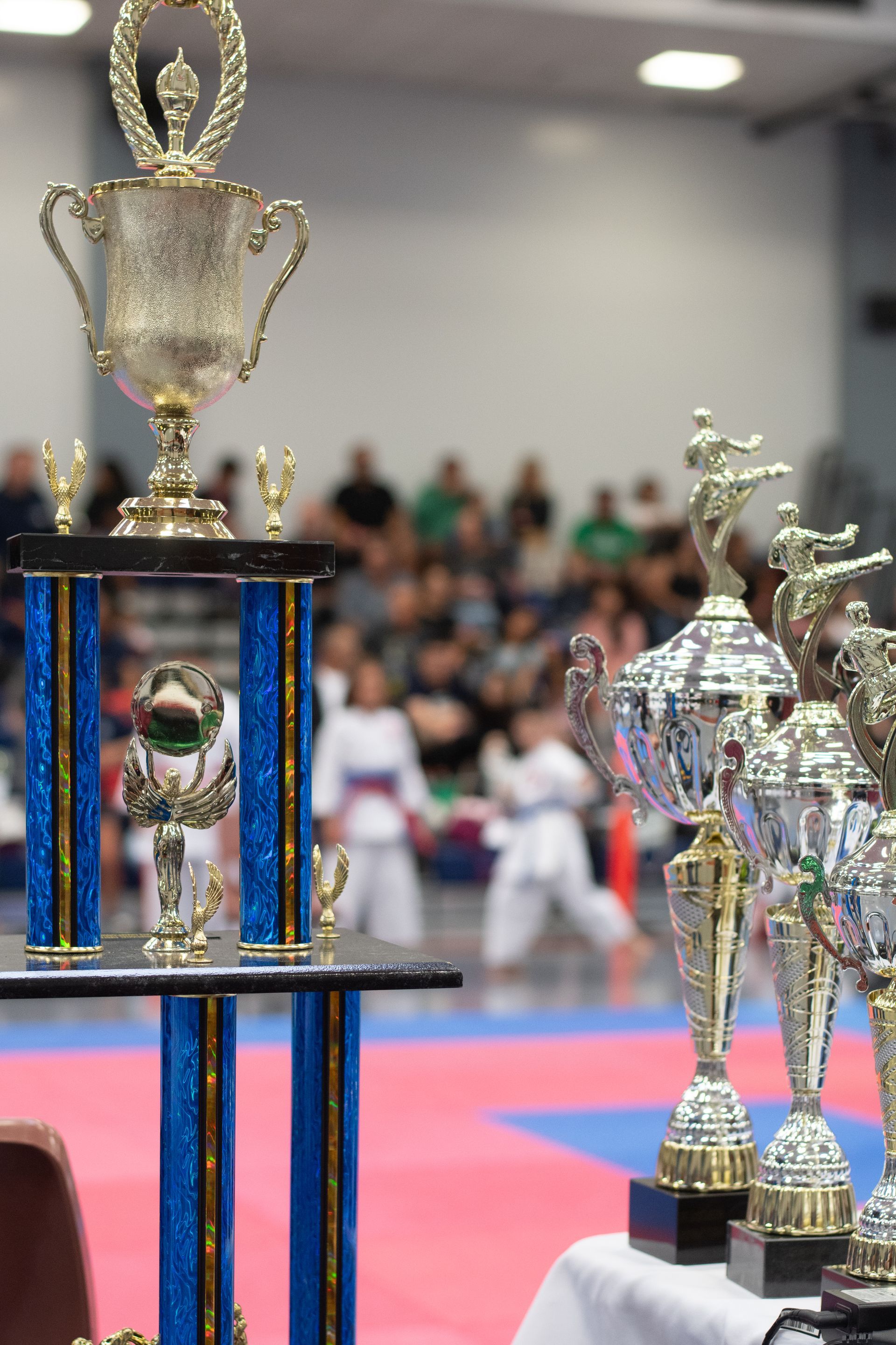 Trophies on a table at a martial arts competition; blurred background of competitors and spectators.