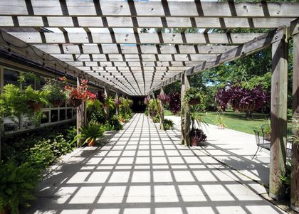 Backyard patio with white Adirondack chairs under a pergola and a fire pit, overlooking a garden and house