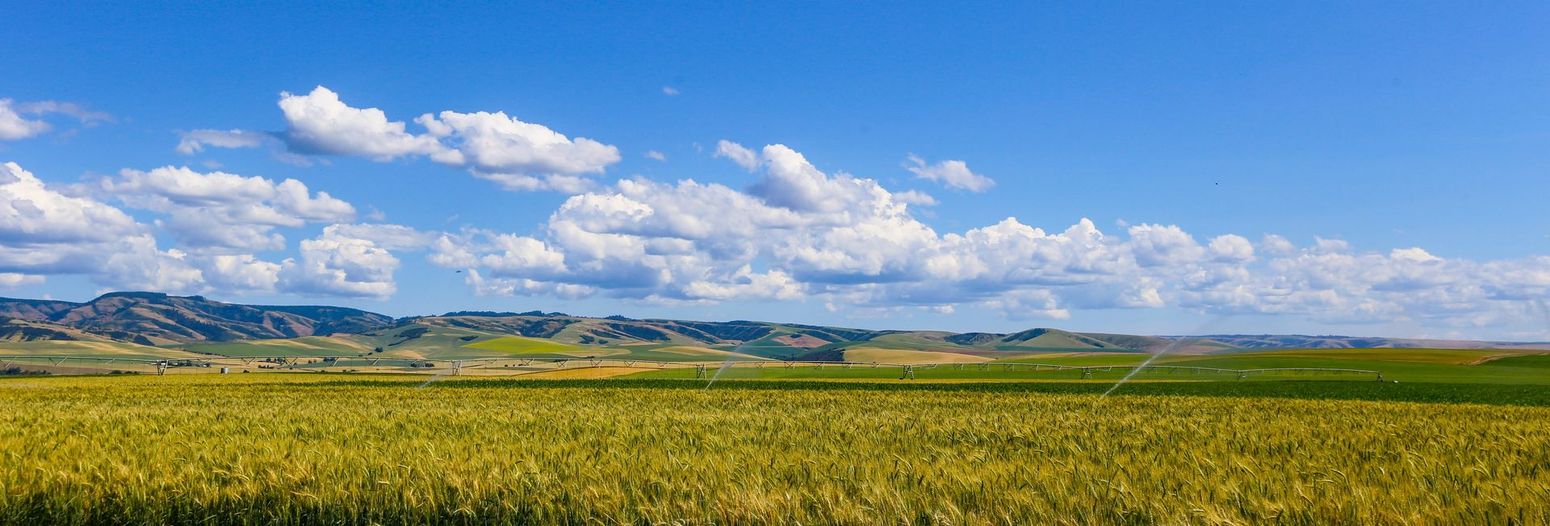 Wide green field under a bright blue sky with scattered clouds and distant hills
