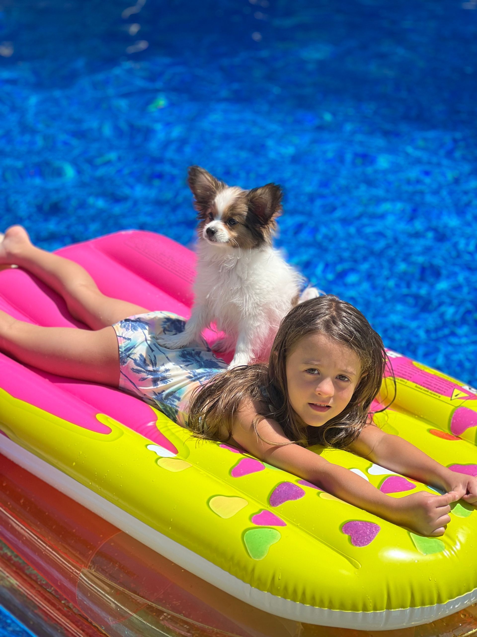 Child and dog on a pink and yellow inflatable raft in a bright blue pool, enjoying the sun.