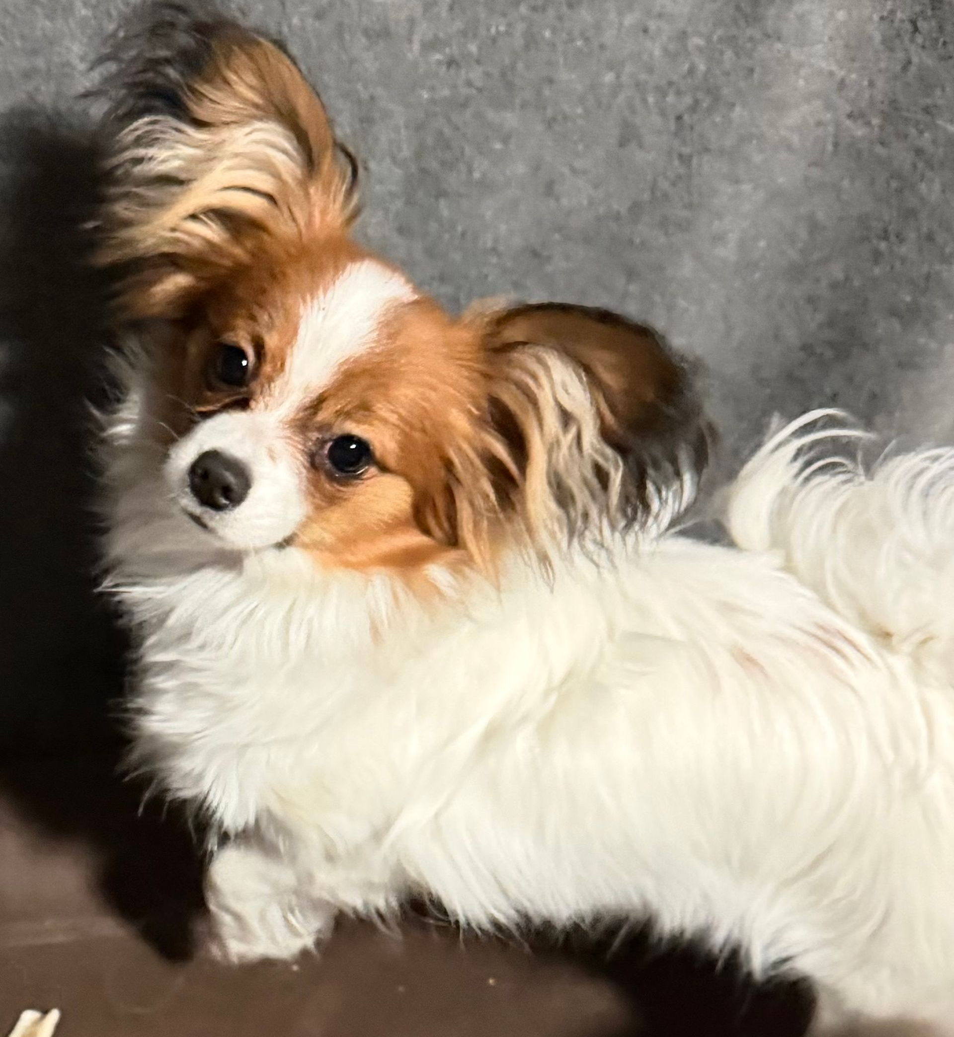 Benny