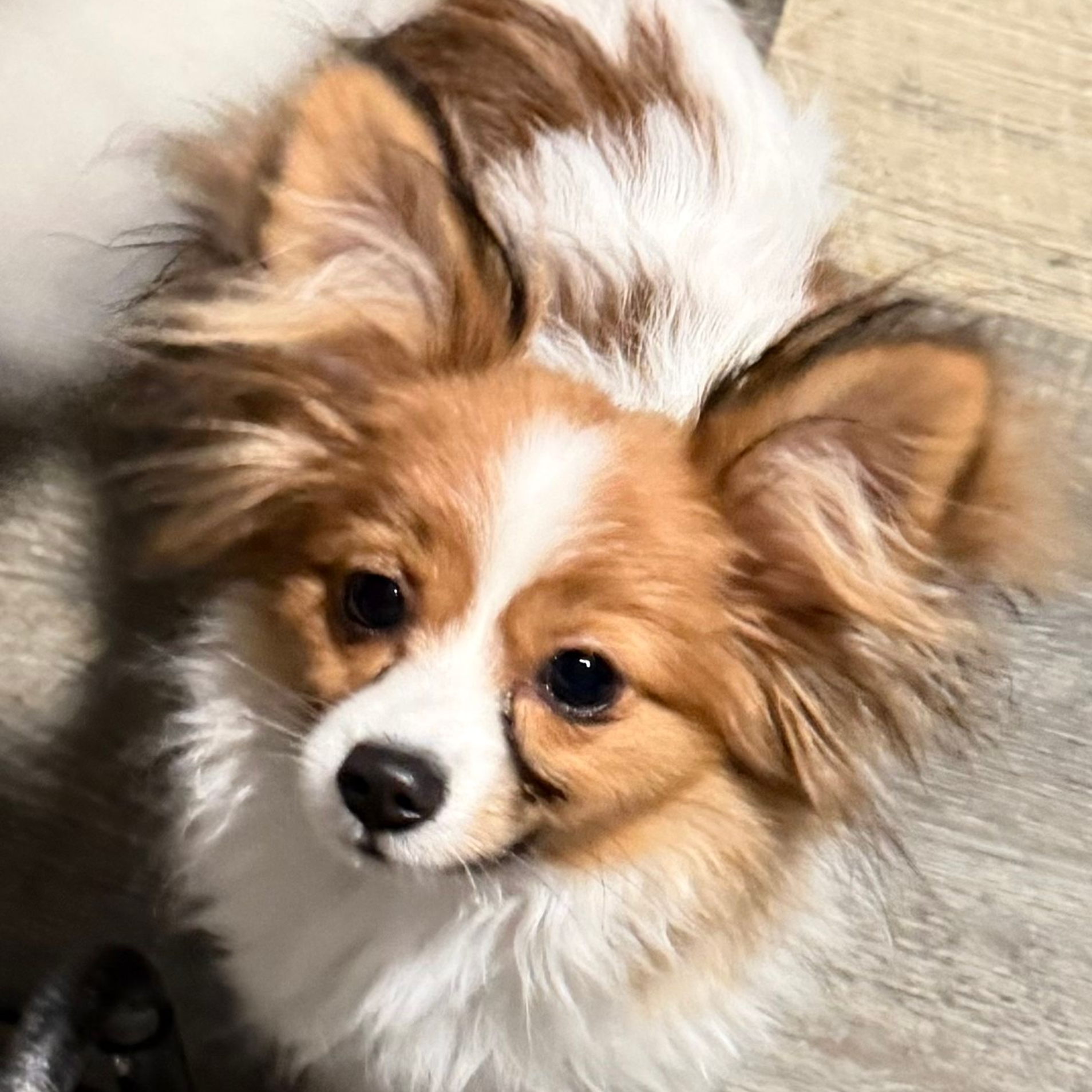 Benny