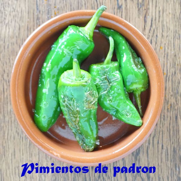 Pimientos+de+padron