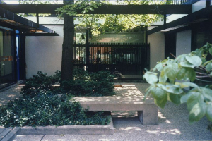 Shaded courtyard with a wooden bench, dense greenery, and a pergola under trees