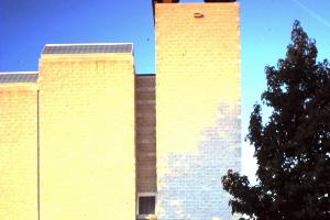 Sunlit tan and white buildings beside a dark tree against a blue sky