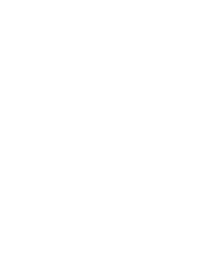 Developing Organizing Visions For Everyone logo