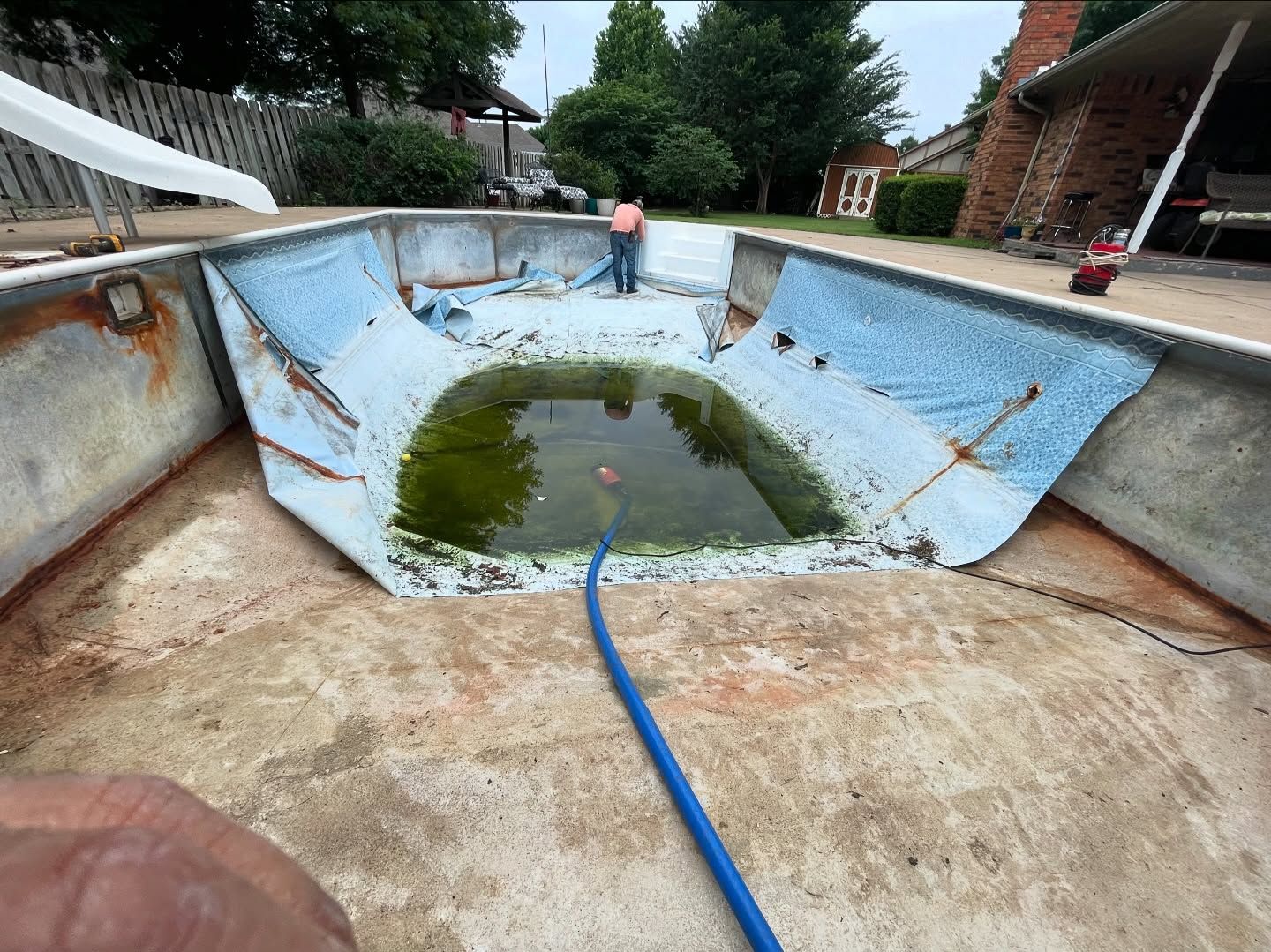 Empty in-ground pool with peeling blue plaster and standing green water, hose in foreground
