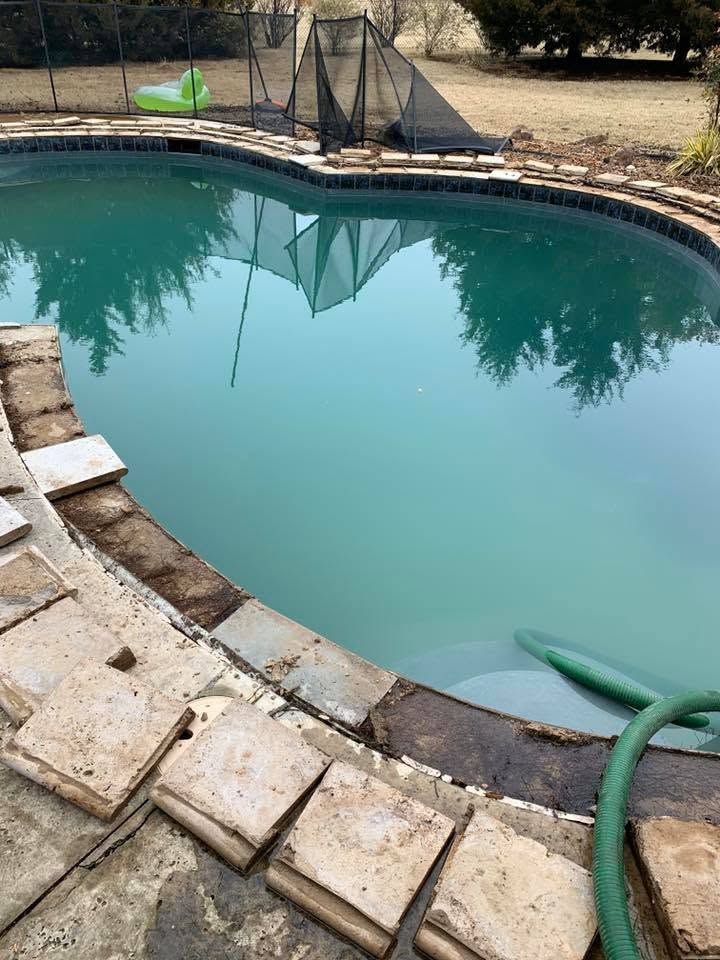 Backyard pool with greenish water, stone coping, and a hose at the edge