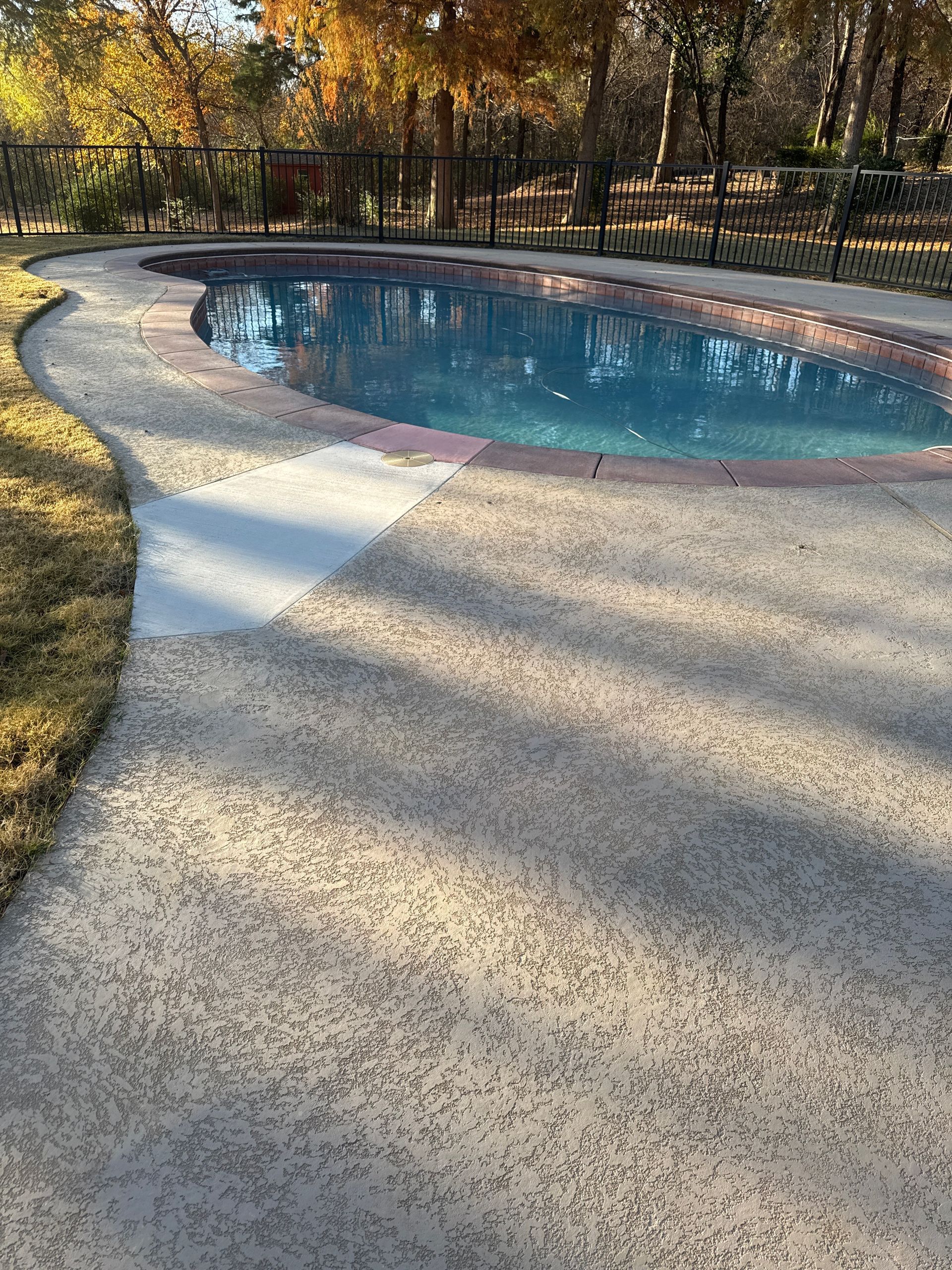 Curved backyard swimming pool with clear blue water and speckled concrete deck, bordered by autumn trees