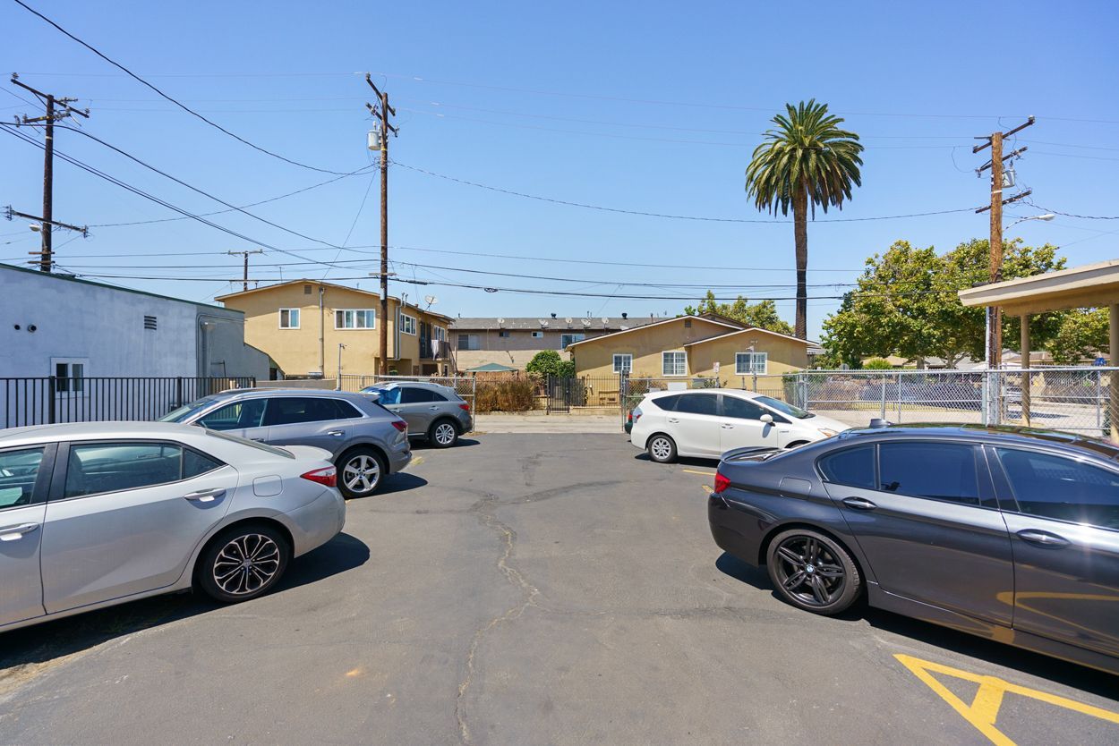 A row of cars are parked in a parking lot with a palm tree in the background.