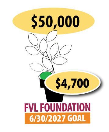 Financial Thermometer for Foundation - $4,700 of $50,000 goal reached