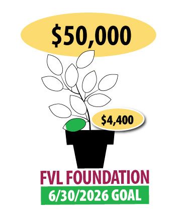 Financial Thermometer for Foundation - $4,400 of $50,000 goal reached