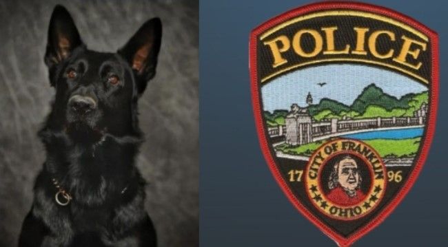 K9 Fury