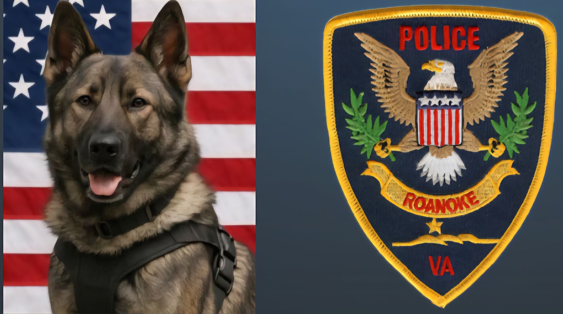 A german shepherd is next to a police badge