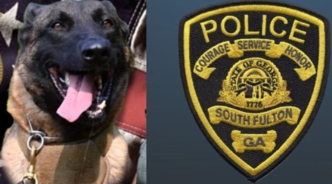 K9 Max