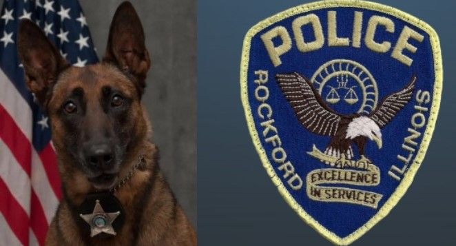 K9 NYX