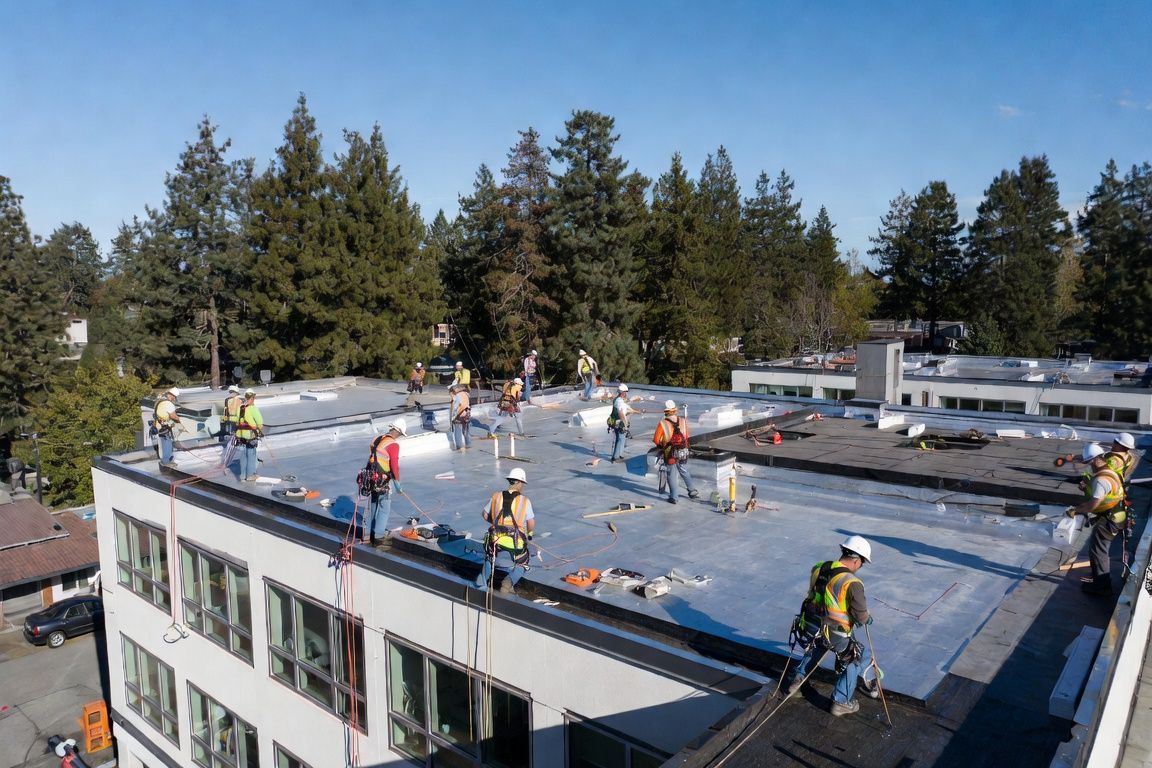 Workers installing a flat roof on a building, with tools and safety gear, trees in the background