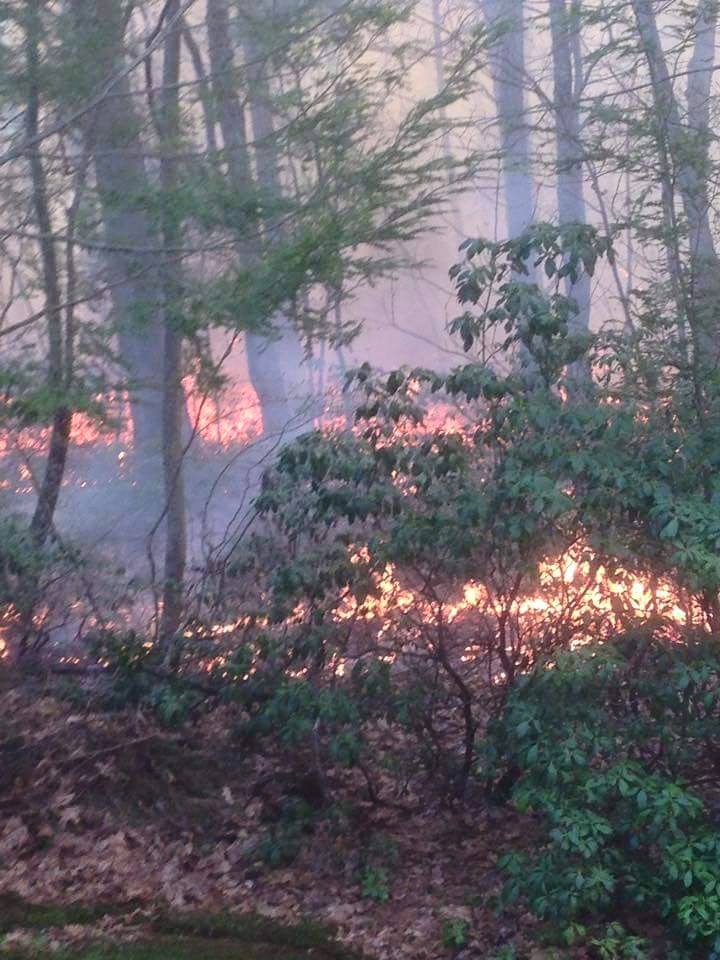 Forestburgh Fire Company 1 Inc. Top Rated Fire Station Forestburgh