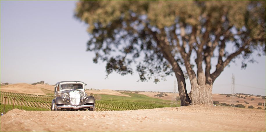 Pear Valley Vineyard Wedding by Christan Parreira Pear Valley Vineyard Wedding by Christan Parreira