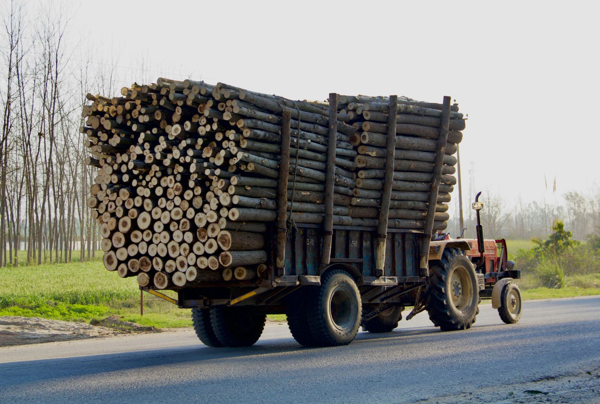 Tractor hauling a trailer piled high with tree logs on a road.