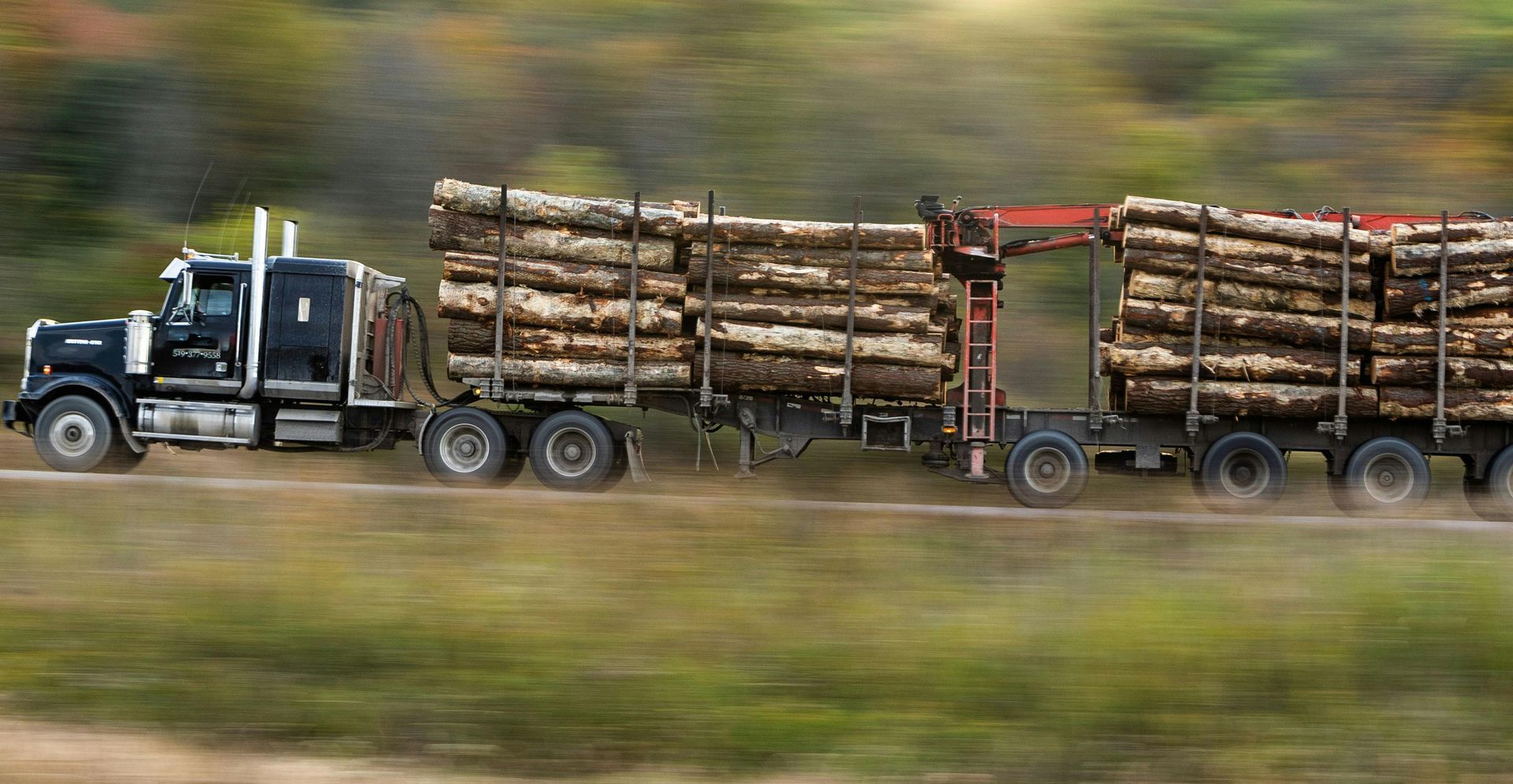 Black semi-truck hauling two trailers loaded with logs, driving on a road next to a grassy area.