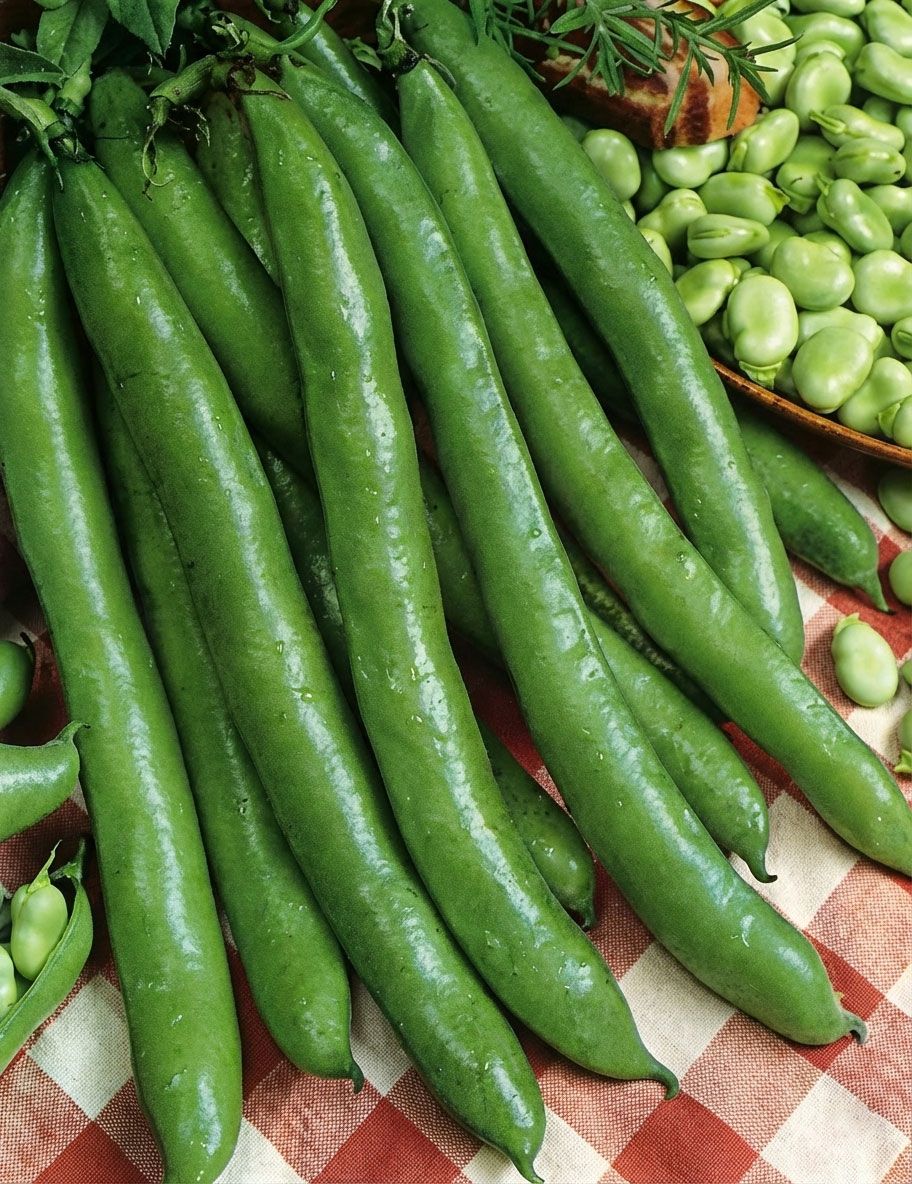 Fagiolini