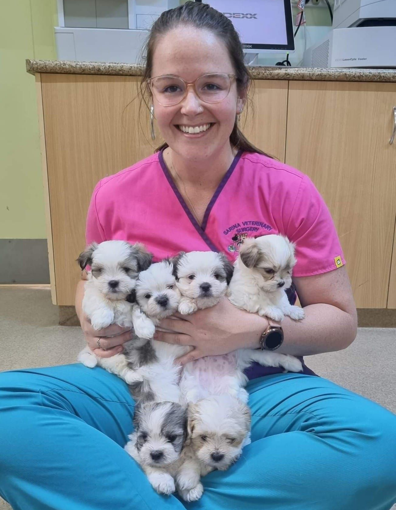 Woman in Pink Scrubs Holding Four Fluffy Puppies — Sarina Veterinary Surgery In Mackay, QLD