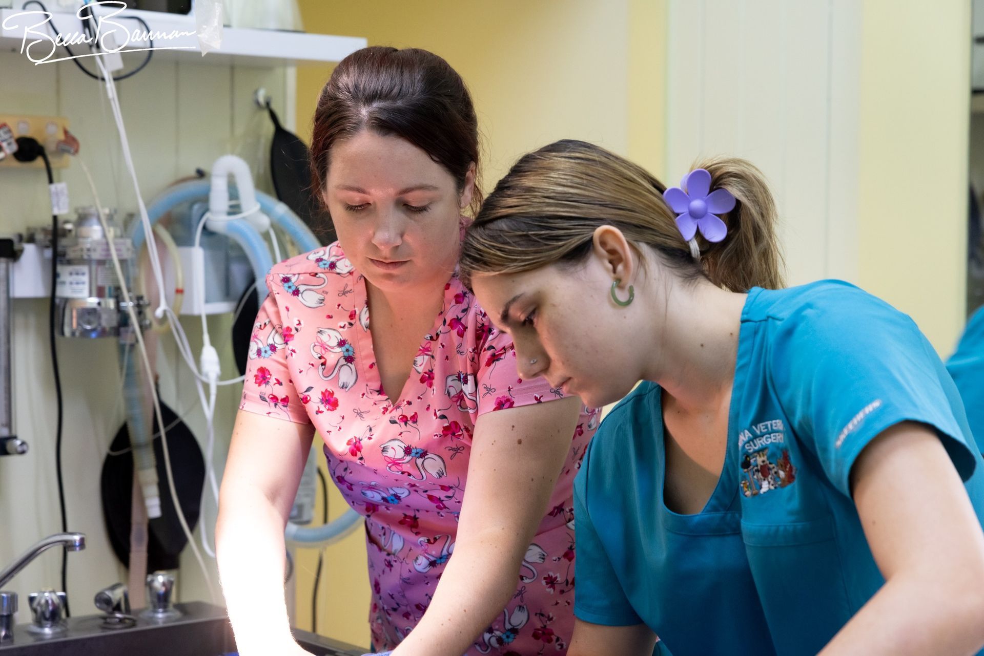 Two nurses in scrubs lean over a medical monitor in a hospital room — Sarina Veterinary Surgery In Sarina, QLD