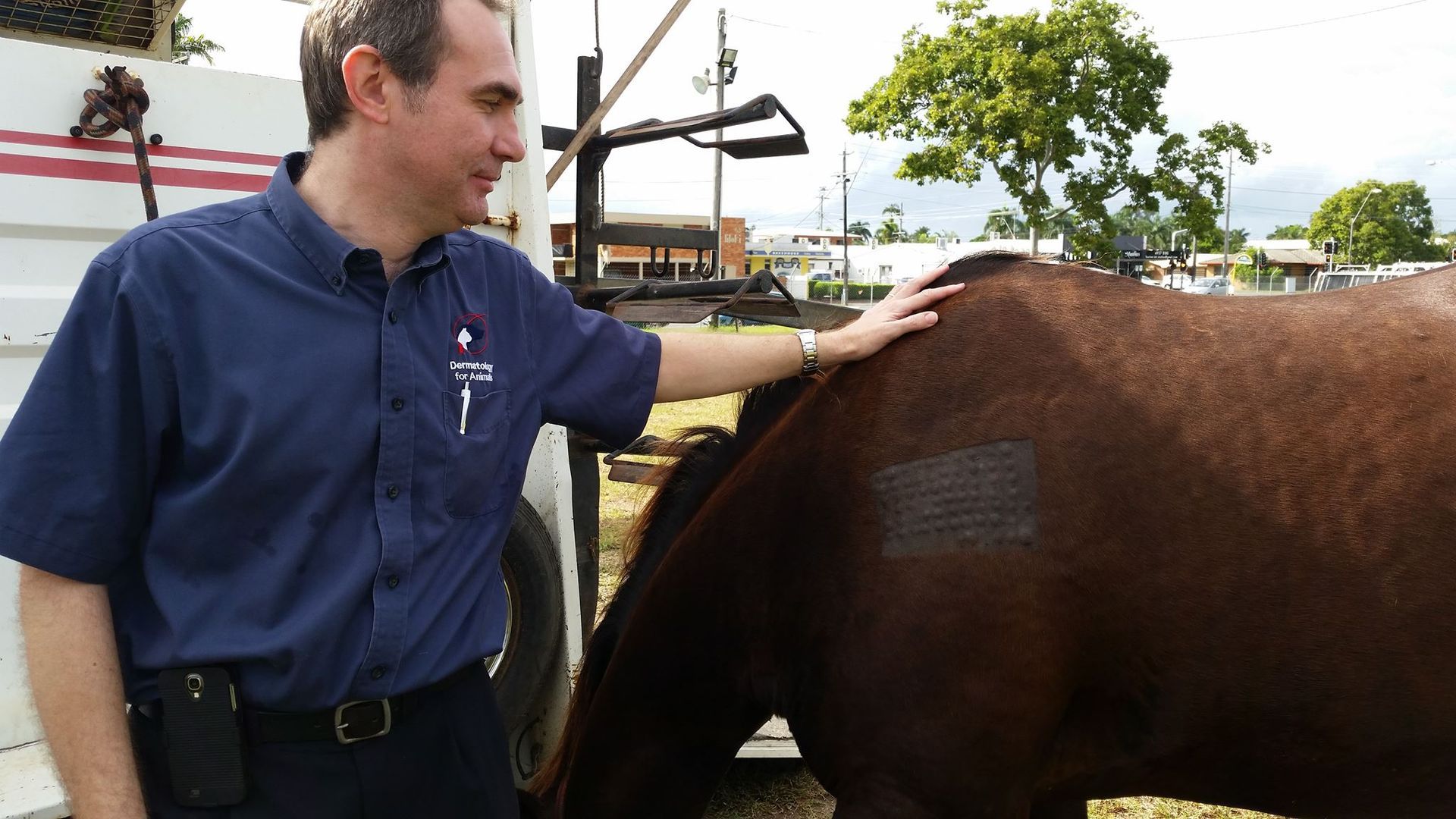 Man in Navy Shirt Touching a Brown Horse Outdoors Near Stables — Sarina Veterinary Surgery In Nebo, QLD