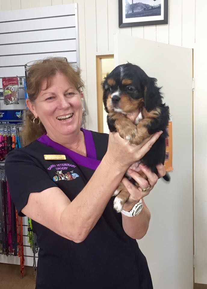 Woman in Black Uniform Holding a Small Black-And-Tan Puppy Indoors — Sarina Veterinary Surgery In Mackay, QLD